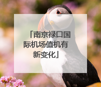 南京禄口国际机场值机有新变化