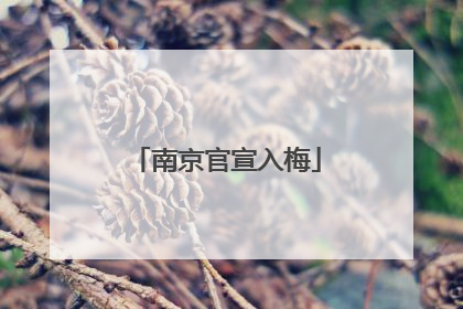 南京官宣入梅