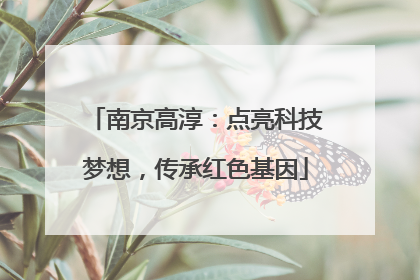 南京高淳：点亮科技梦想，传承红色基因