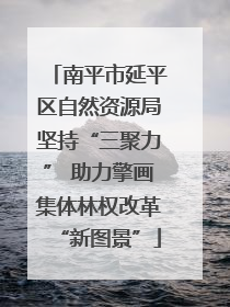 南平市延平区自然资源局坚持“三聚力” 助力擎画集体林权改革“新图景”