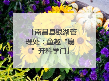 南昌县银湖管理处：童趣“扇”开科学门