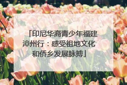 印尼华裔青少年福建漳州行：感受祖地文化和侨乡发展脉搏