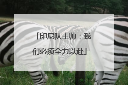 印尼队主帅：我们必须全力以赴