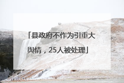 县政府不作为引重大舆情，25人被处理