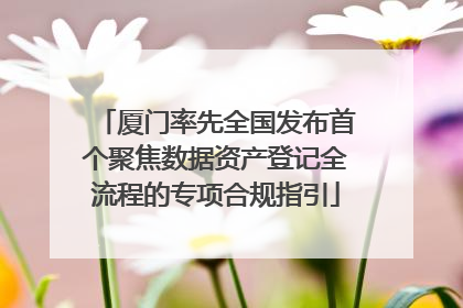 厦门率先全国发布首个聚焦数据资产登记全流程的专项合规指引