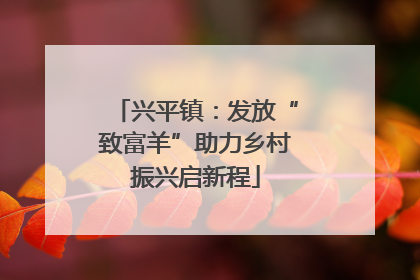 兴平镇：发放“致富羊”助力乡村振兴启新程