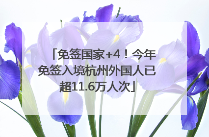 免签国家+4！今年免签入境杭州外国人已超11.6万人次