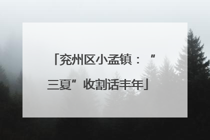 兖州区小孟镇：“三夏”收割话丰年