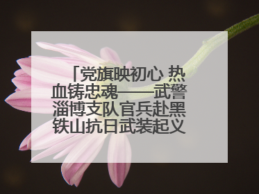 党旗映初心 热血铸忠魂——武警淄博支队官兵赴黑铁山抗日武装起义纪念馆开展“七一”主题党日活动