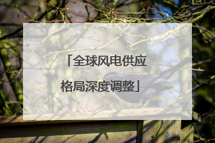 全球风电供应格局深度调整