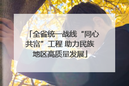 全省统一战线“同心共富”工程 助力民族地区高质量发展