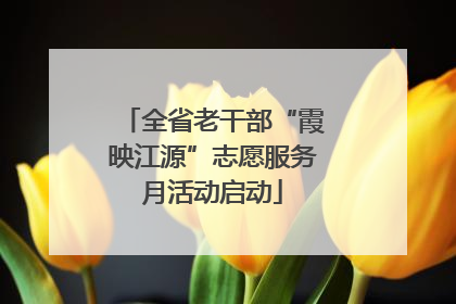 全省老干部“霞映江源”志愿服务月活动启动