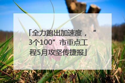 全力跑出加速度，“3个100”市重点工程5月攻坚传捷报