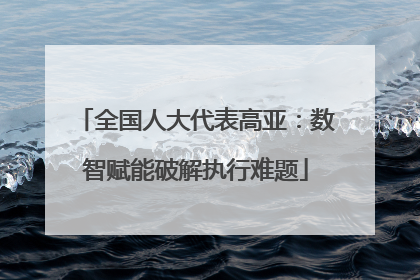 全国人大代表高亚：数智赋能破解执行难题