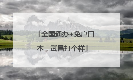 全国通办+免户口本，武昌打个样