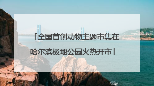 全国首创动物主题市集在哈尔滨极地公园火热开市