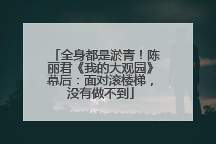 全身都是淤青！陈丽君《我的大观园》幕后：面对滚楼梯，没有做不到