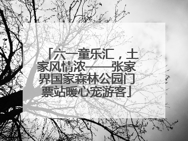 六一童乐汇，土家风情浓——张家界国家森林公园门票站暖心宠游客
