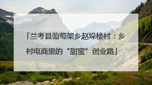 兰考县葡萄架乡赵垛楼村：乡村电商里的“甜蜜”创业路