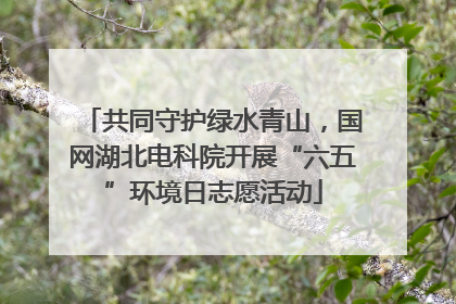 共同守护绿水青山，国网湖北电科院开展“六五”环境日志愿活动