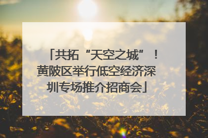 共拓“天空之城”！黄陂区举行低空经济深圳专场推介招商会