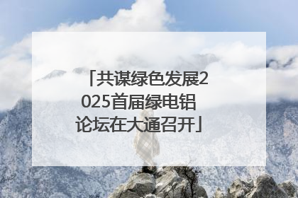 共谋绿色发展2025首届绿电铝论坛在大通召开