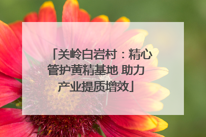 关岭白岩村：精心管护黄精基地 助力产业提质增效