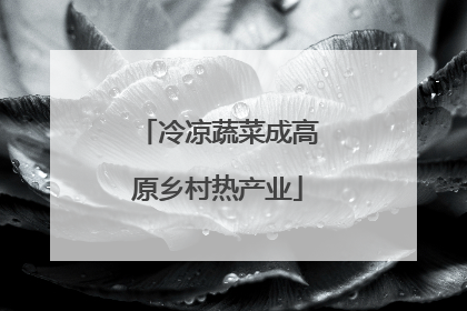 冷凉蔬菜成高原乡村热产业