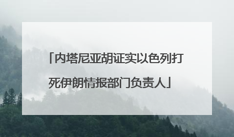 内塔尼亚胡证实以色列打死伊朗情报部门负责人