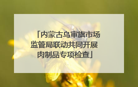 内蒙古乌审旗市场监管局联动共同开展肉制品专项检查
