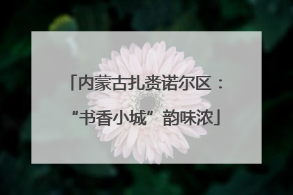 内蒙古扎赉诺尔区：“书香小城”韵味浓