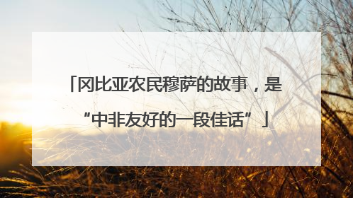 冈比亚农民穆萨的故事，是“中非友好的一段佳话”