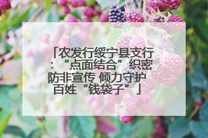 农发行绥宁县支行：“点面结合”织密防非宣传 倾力守护百姓“钱袋子”