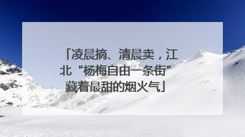 凌晨摘、清晨卖，江北“杨梅自由一条街”藏着最甜的烟火气