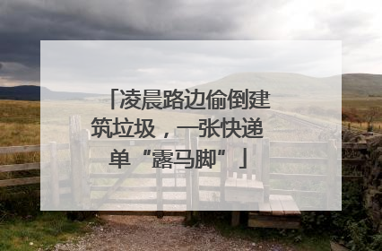 凌晨路边偷倒建筑垃圾，一张快递单“露马脚”