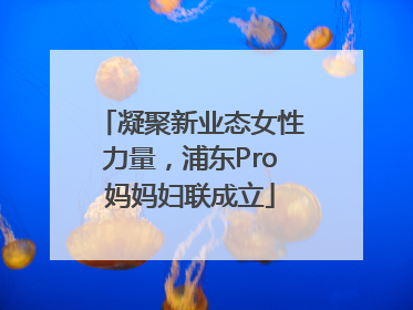 凝聚新业态女性力量，浦东Pro妈妈妇联成立