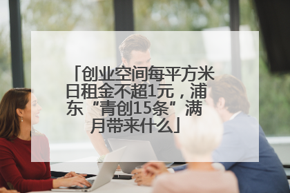创业空间每平方米日租金不超1元，浦东“青创15条”满月带来什么