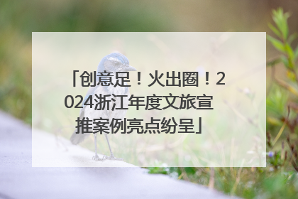 创意足！火出圈！2024浙江年度文旅宣推案例亮点纷呈