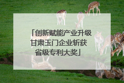 创新赋能产业升级 甘肃玉门企业斩获省级专利大奖