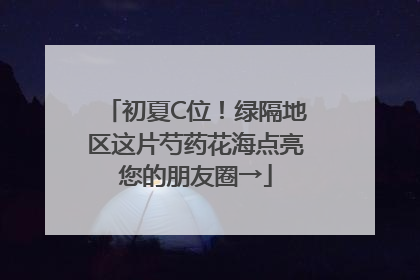 初夏C位！绿隔地区这片芍药花海点亮您的朋友圈→