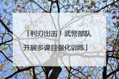 利刃出击！武警部队开展多课目强化训练