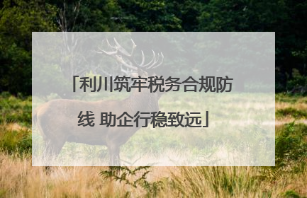 利川筑牢税务合规防线 助企行稳致远