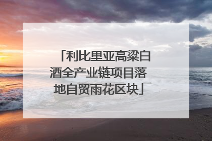 利比里亚高粱白酒全产业链项目落地自贸雨花区块