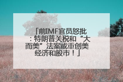 前IMF官员怒批：特朗普关税和“大而美”法案或重创美经济和股市！