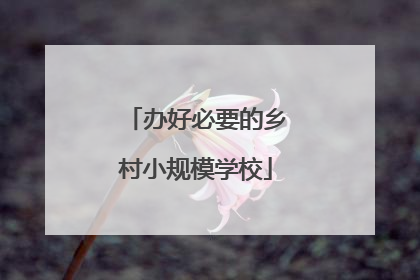 办好必要的乡村小规模学校