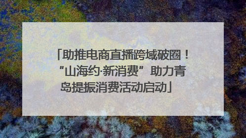 助推电商直播跨域破圈！“山海约·新消费”助力青岛提振消费活动启动