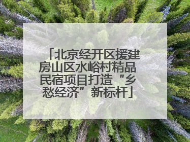 北京经开区援建房山区水峪村精品民宿项目打造“乡愁经济”新标杆
