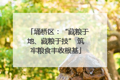 埇桥区：“藏粮于地、藏粮于技” 筑牢粮食丰收根基