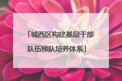 城西区构建基层干部队伍梯队培养体系