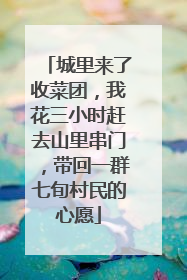 城里来了收菜团，我花三小时赶去山里串门，带回一群七旬村民的心愿